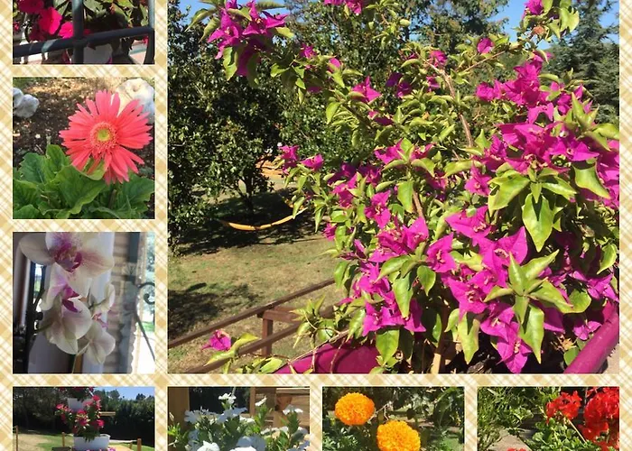 Bed & Breakfast Gusto E Benessere *