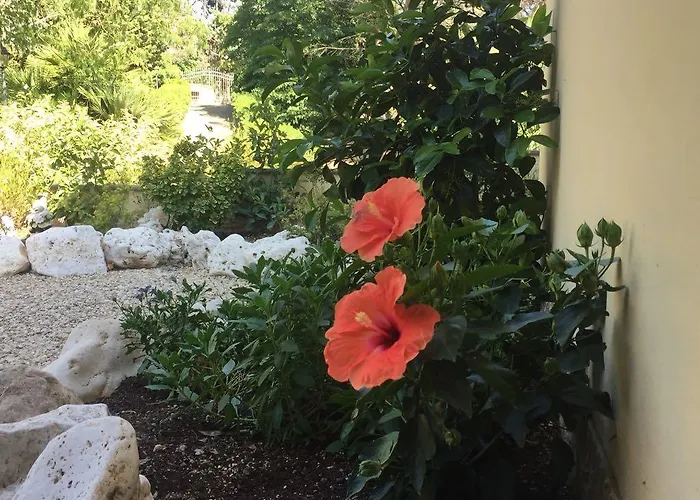 Gusto E Benessere Sacrofano